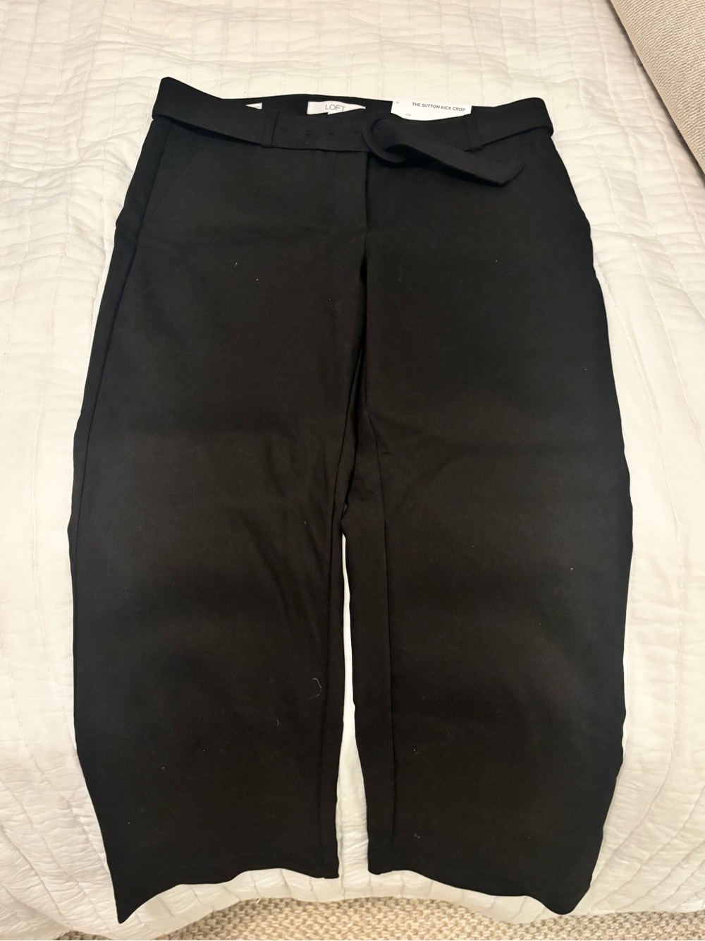 Loft pants